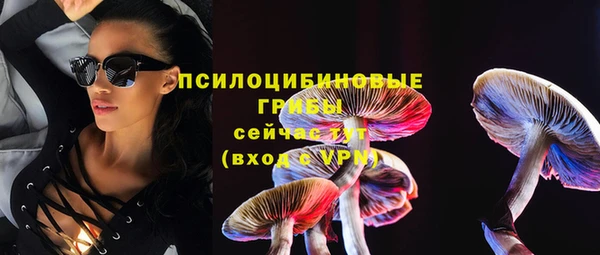 дживик Магас