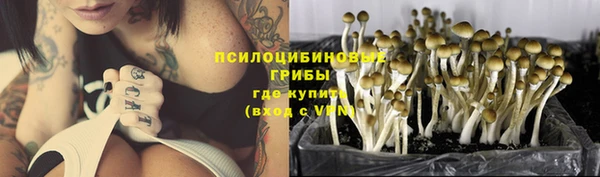 стаф Абинск