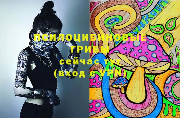 прущие крисы Абдулино