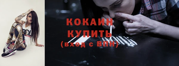 стаф Абинск