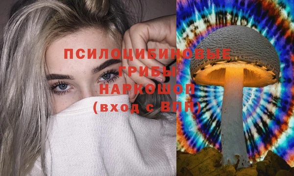 дживик Магас